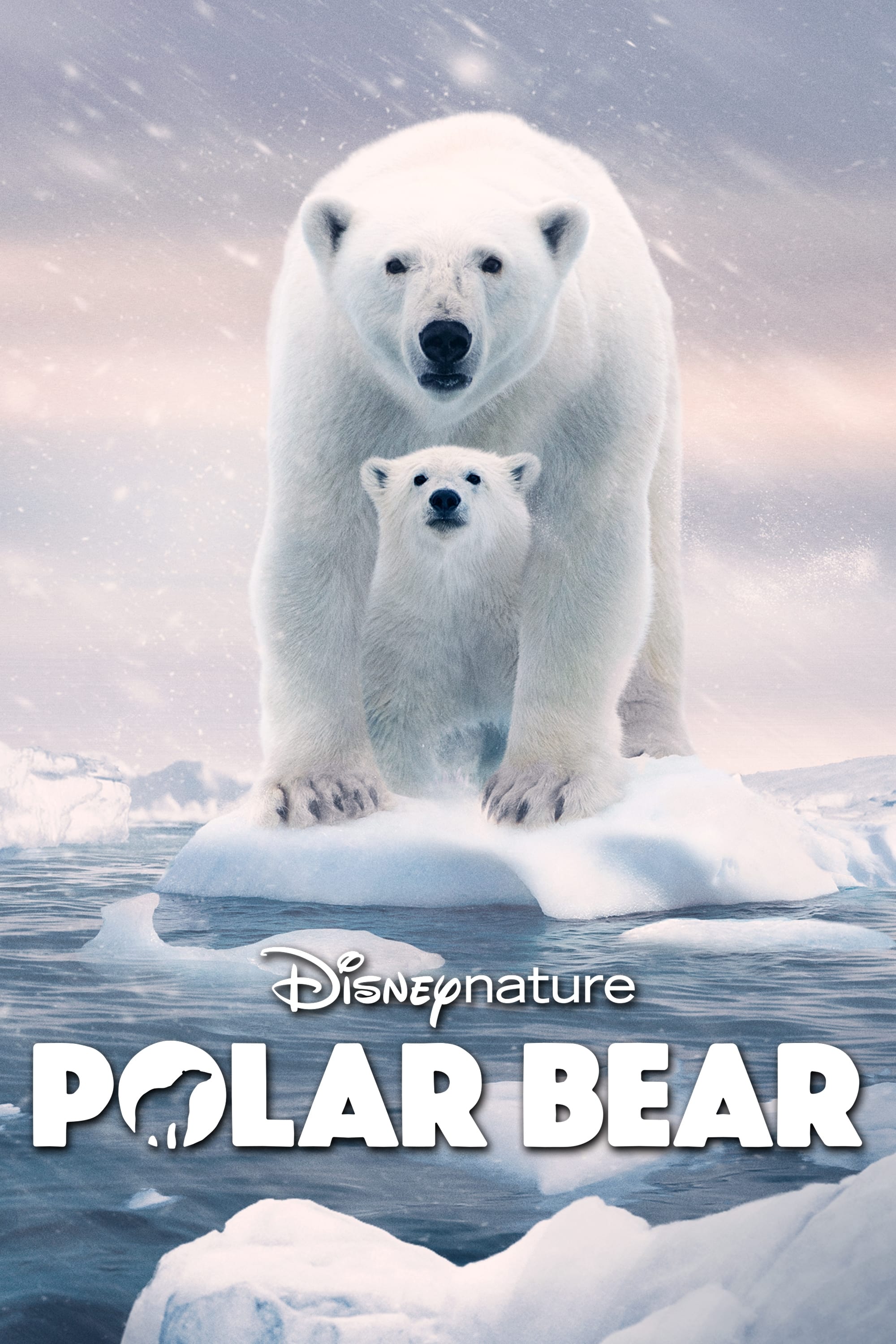 Постер Polar Bear